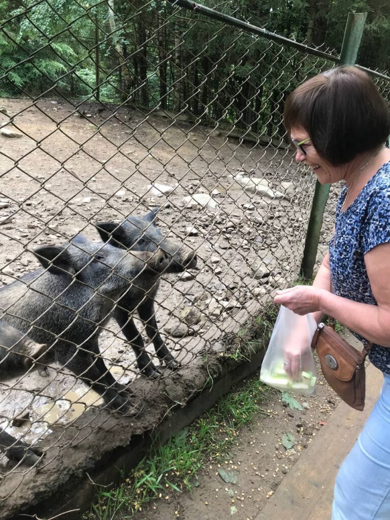 536279529_1083698230413300_1251944897467177872_n