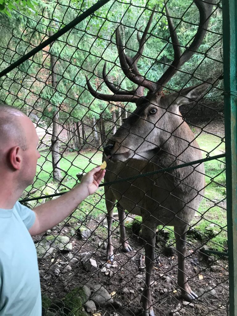 536280338_1083698177079972_5477620062080026768_n